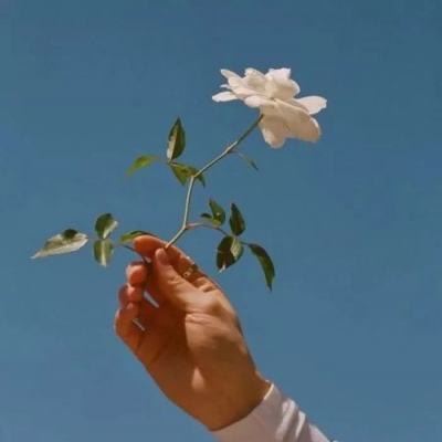 金年会app官方下载